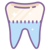 Icono de la categoria: Dentistas / Odontólogos