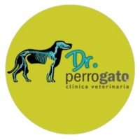 Logotipo de Dr. Perrogato Lecheria