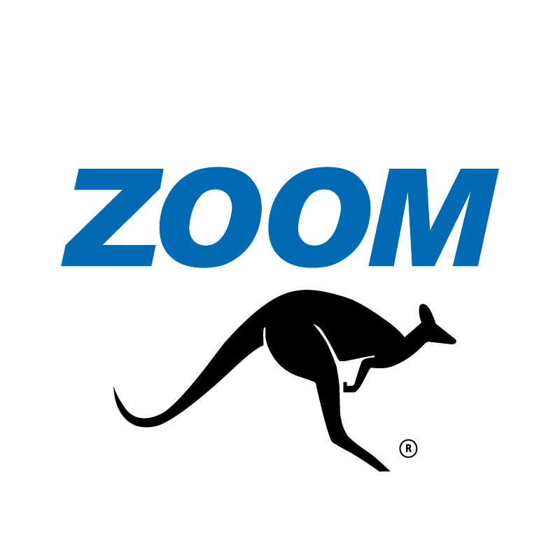 Logotipo de Zoom El Recreo