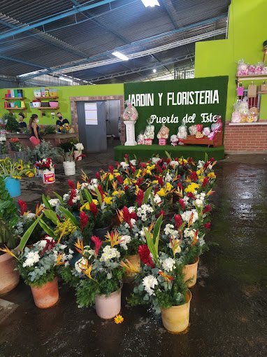 Fachada de Floristería Puerta del Este 2318