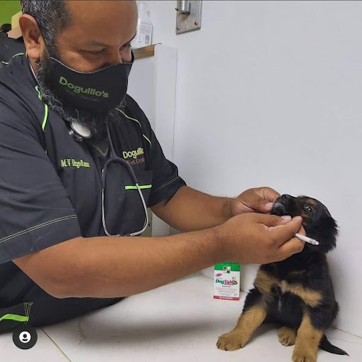 Fachada de Doguillo's Vet Center