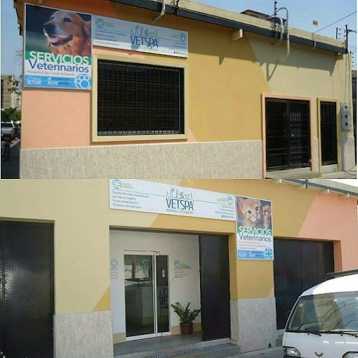 Fachada de Vetspa