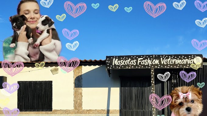 Fachada de Mascotas Fashion Veterinaria