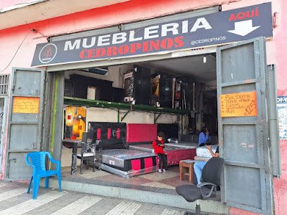 Fachada de Mueblería CedroPinos